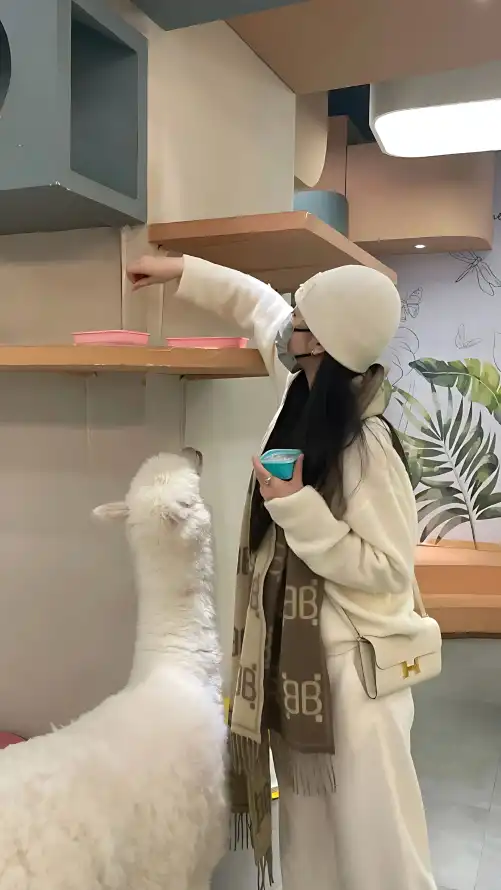 亚洲中久无码永久在线观看_亚洲欧洲国产码专区在线观看_国语自产拍无码精品视频在线
